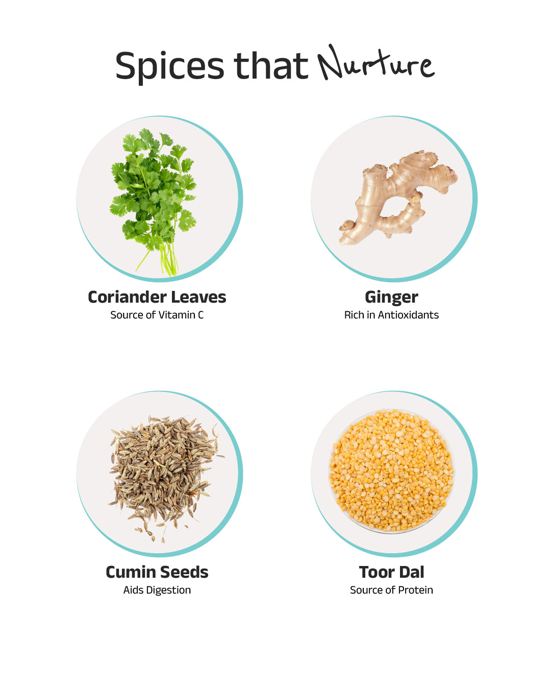 Dal Fry (Vegan) Instant Meal | Ready to Eat in Minutes