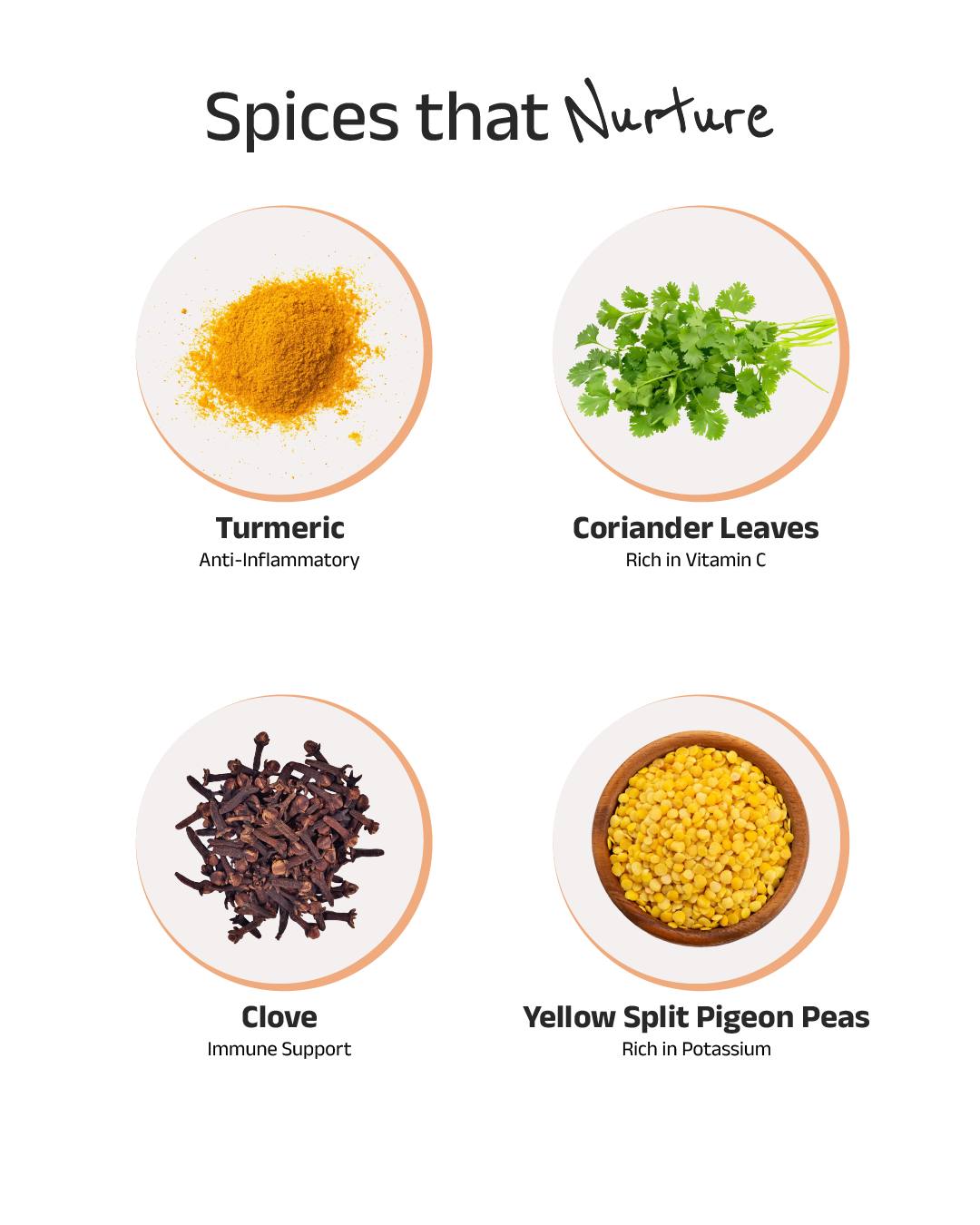 Vegetable Khichdi (Vegan) Instant Meal | Ready to Eat in Minutes | LIMITED EDITION FLAVOUR